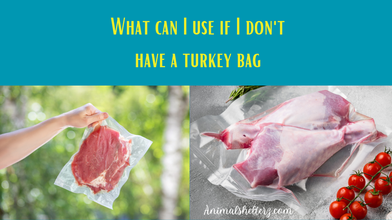 What can I use if I don't have a turkey bag