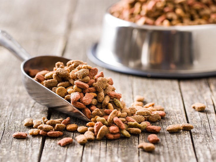 What dog food is killing dogs right now?