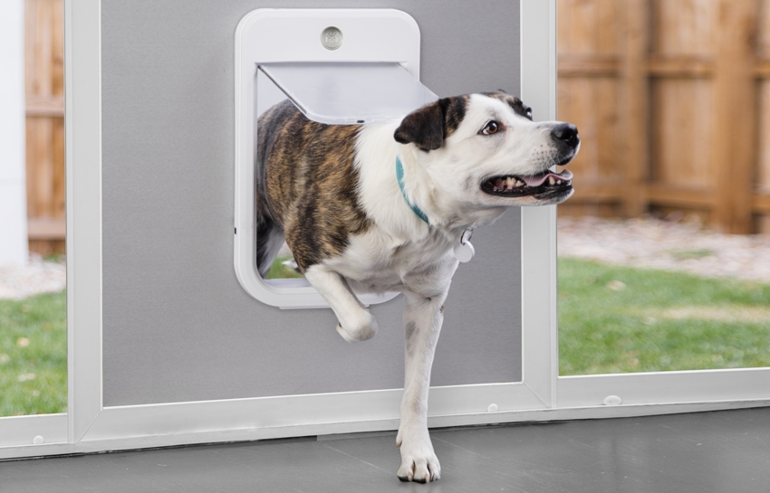 What is a smart pet door?
