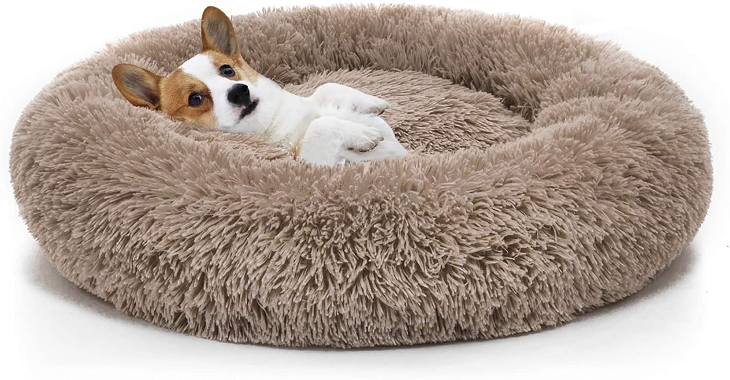 What is the best Doughnut bed for dogs?