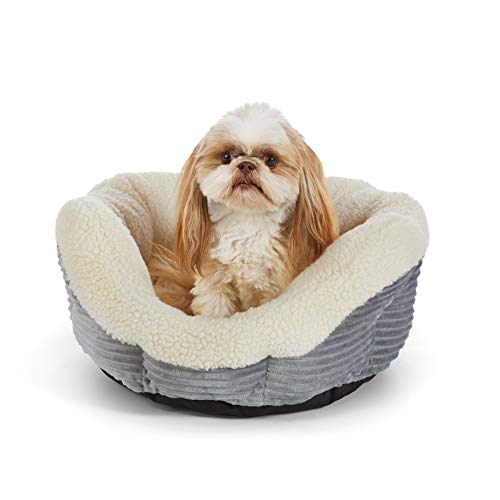 What is the best self-warming dog bed?