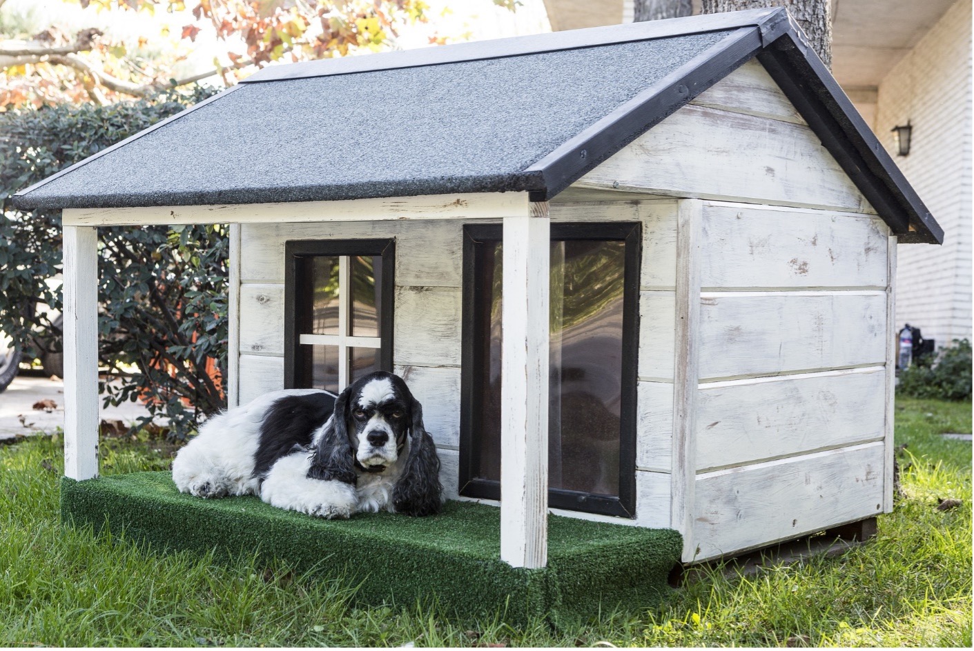 What is the best thing to put in an outside dog kennel?
