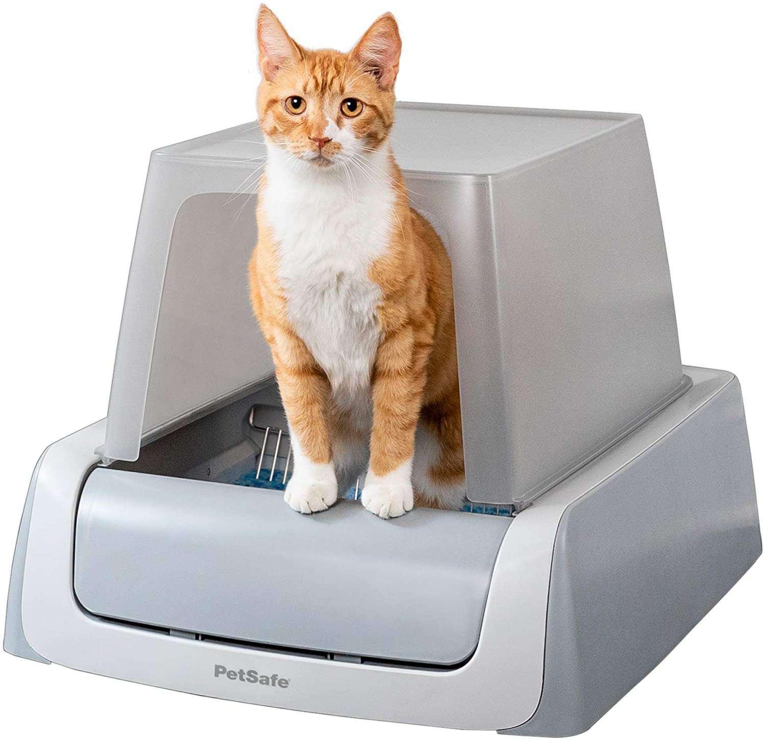 What is the best type of cat litter box?