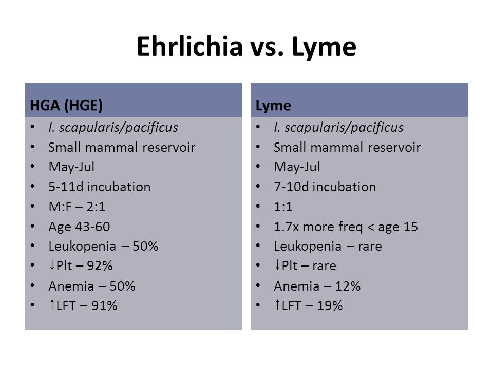 What is the difference between Lyme disease and ehrlichiosis?