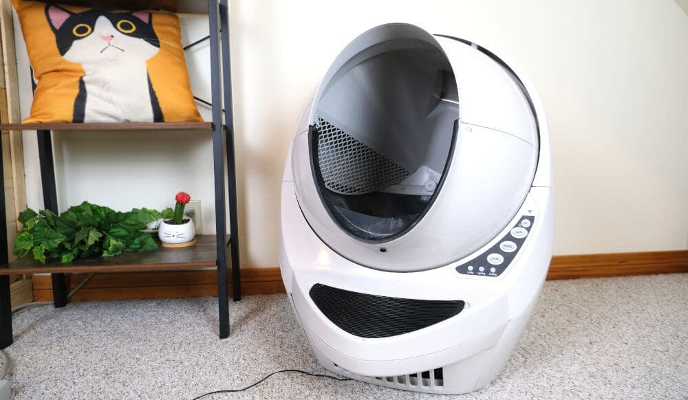 What kind of litter do you use with Litter-Robot?