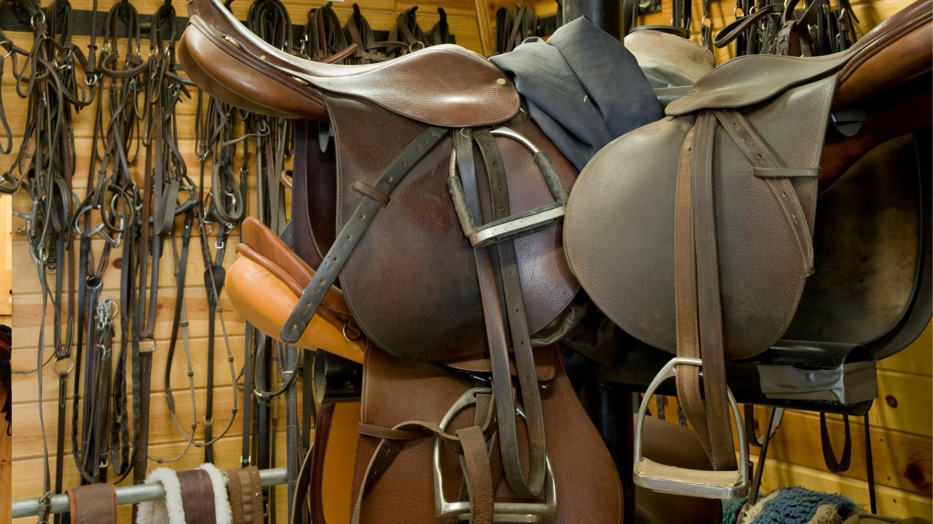 What tack is used in horse racing?
