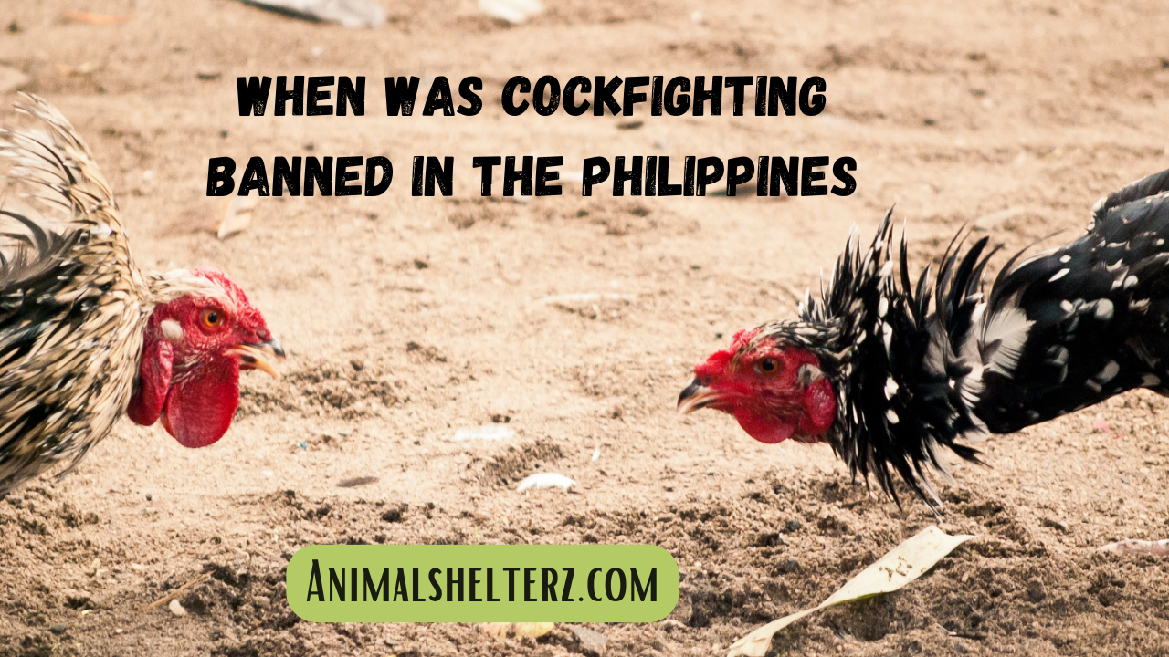 When was cockfighting banned in the Philippines