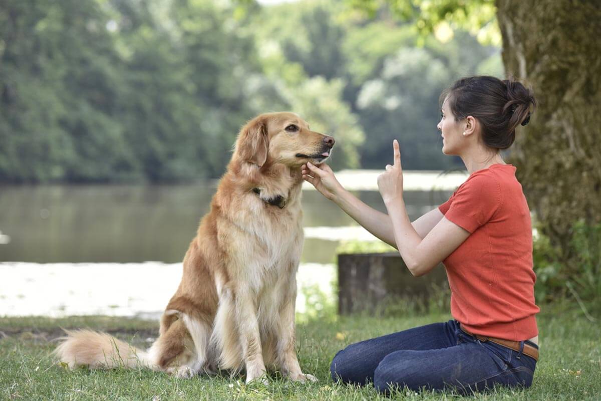 Who is the world's best dog trainer?