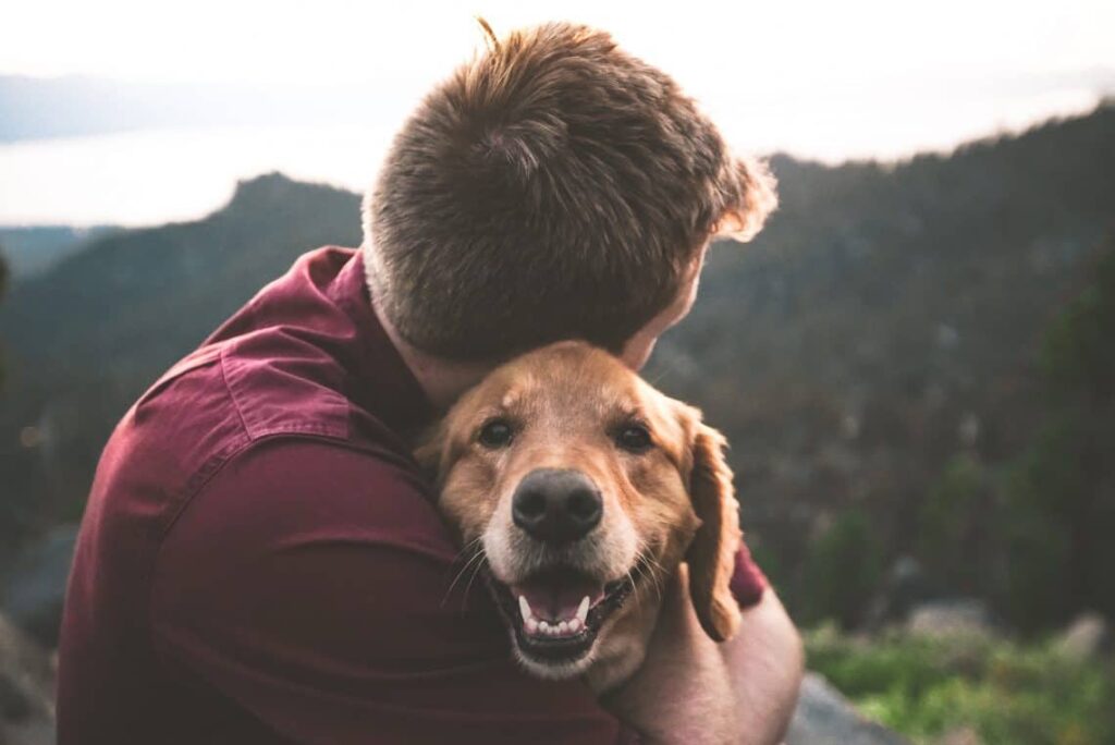 How do you know your dog has bonded with you?