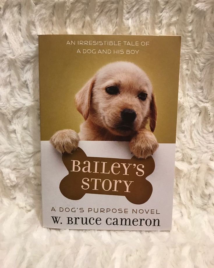 Is Bailey’s story the same as a dog’s purpose?