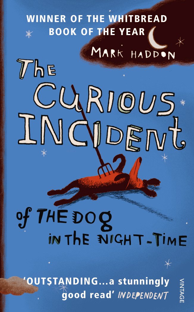 What is the point of view of the curious incident of the dog in the nighttime?