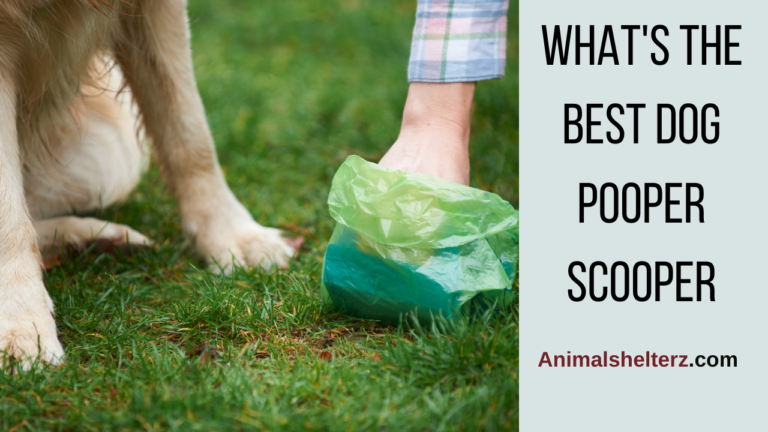 What’s the best dog pooper scooper?