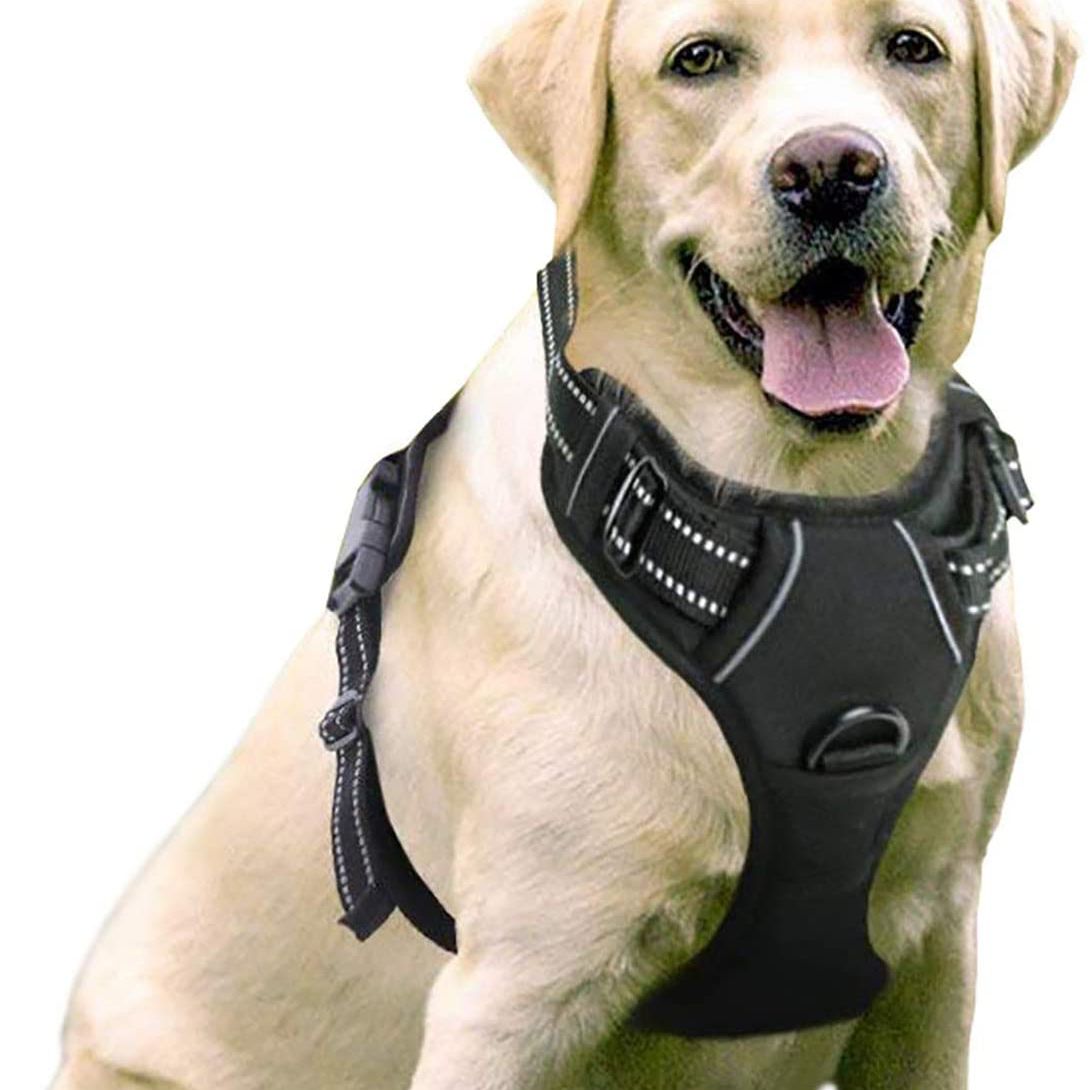 How do you adjust a no pull dog harness?