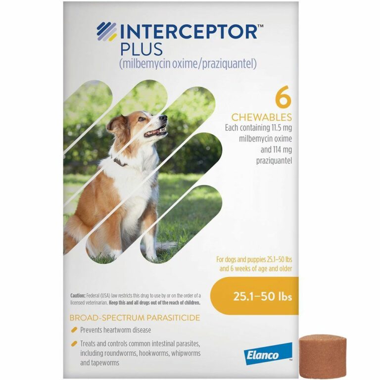 Frequent question: How safe is interceptor plus for dogs?