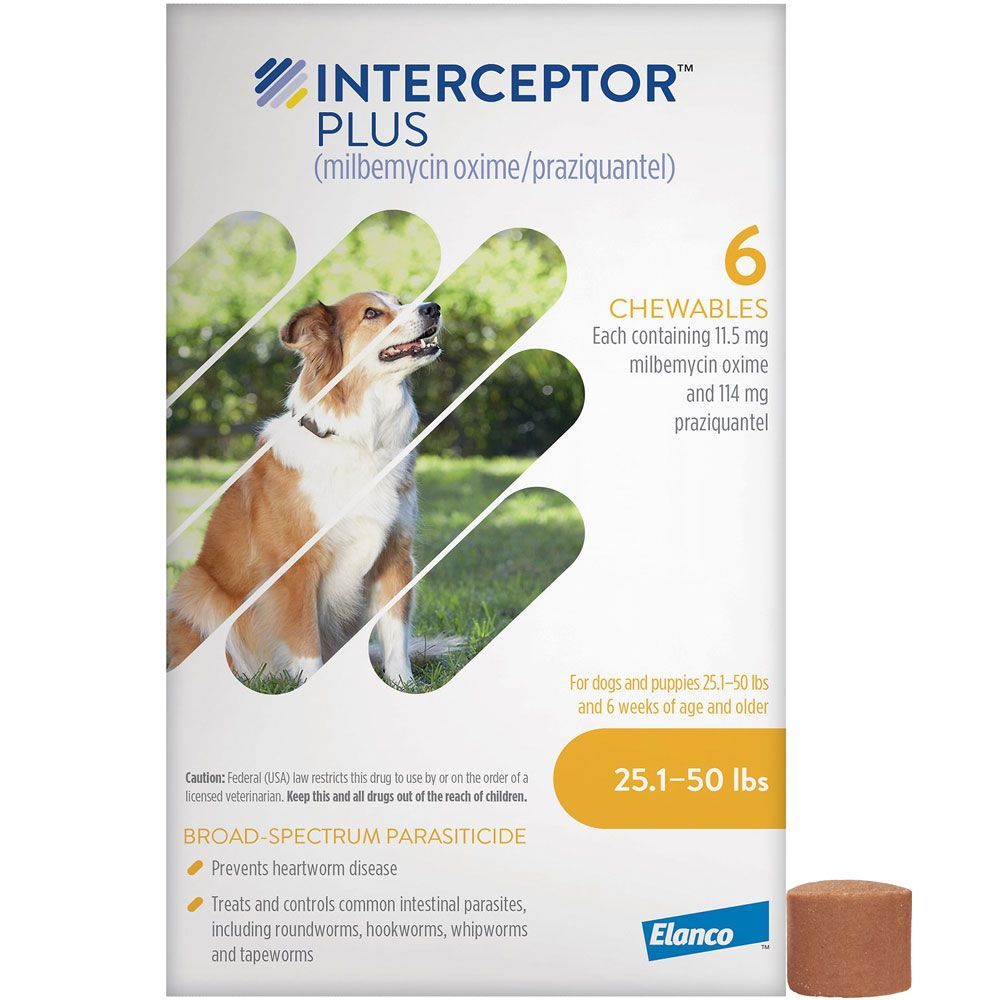 How safe is interceptor plus for dogs?