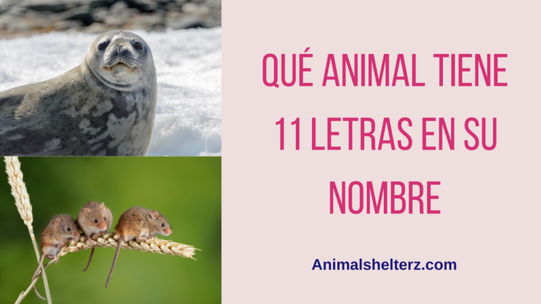 ¿Qué animal tiene 11 letras en su nombre?