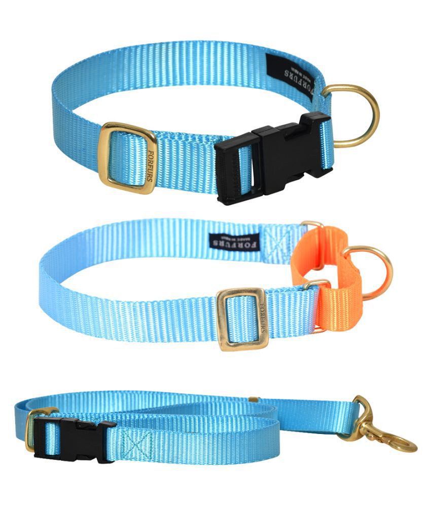 What is a snap collar for dogs?