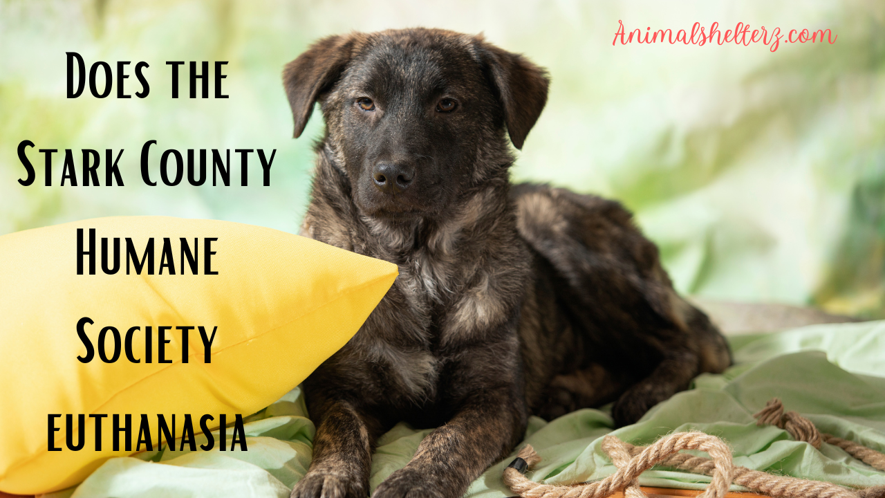 Does the Stark County Humane Society euthanasia