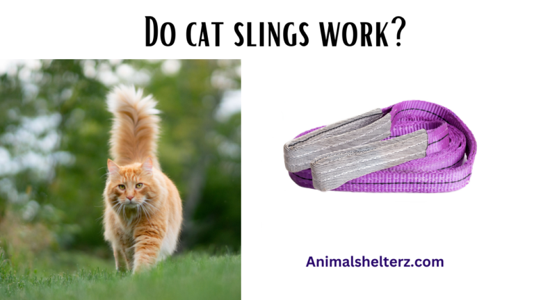 Do cat slings work?