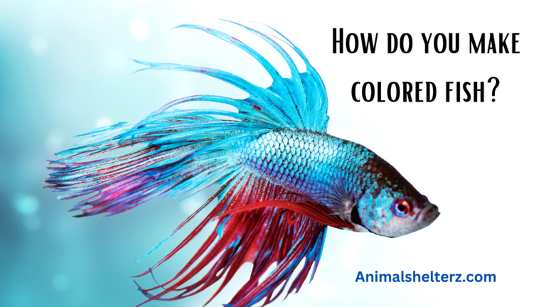 How do you make colored fish?