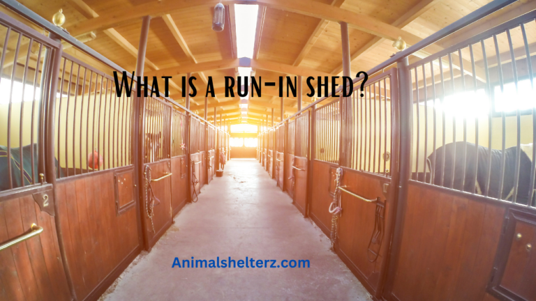 What is a run-in shed?