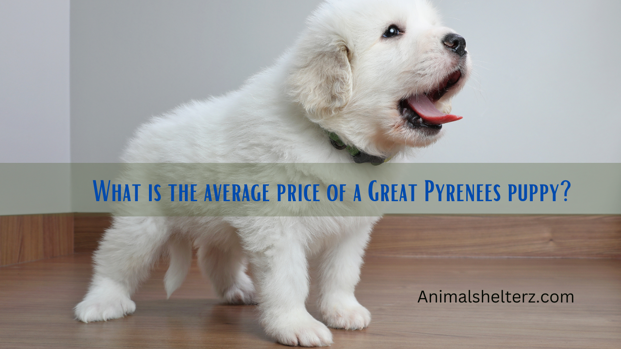 What is the average price of a Great Pyrenees puppy?