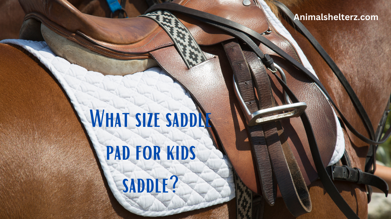What size saddle pad for kids saddle?