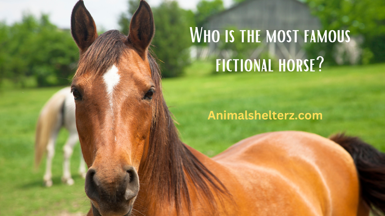 Who is the most famous fictional horse?