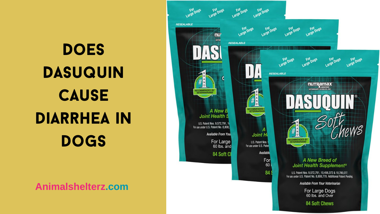 Does Dasuquin cause diarrhea in dogs