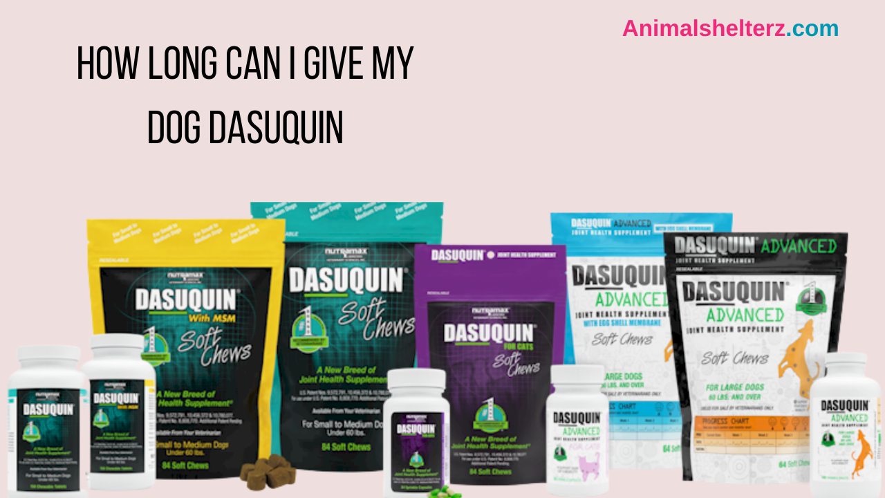 How long can I give my dog Dasuquin