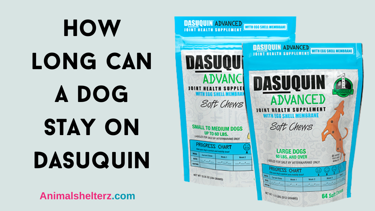 How long can a dog stay on Dasuquin