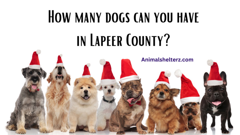 How many dogs can you have in Lapeer County?